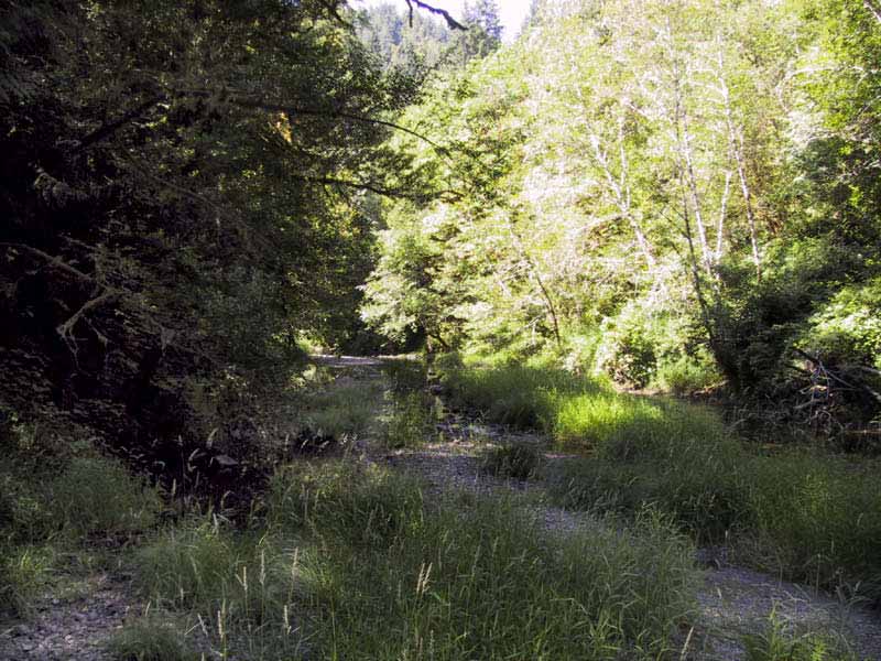 Creek1