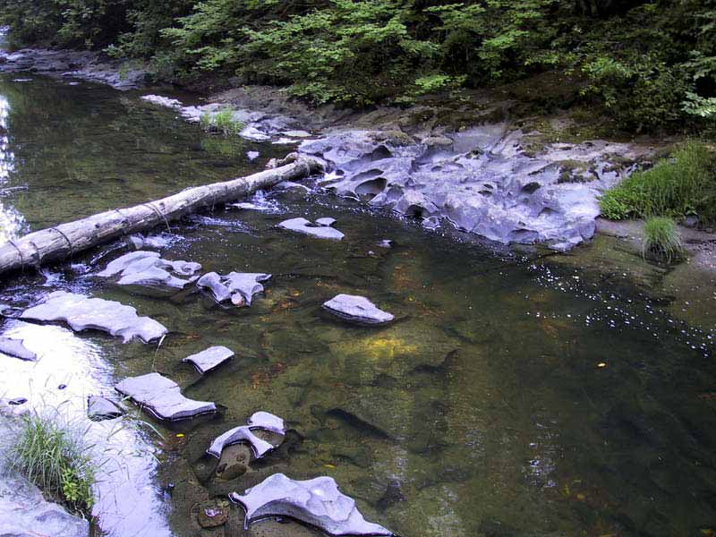 Creek3Crossing_edited