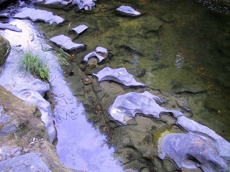 CreekBones_edited
