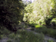 Creek1