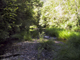 Creek2